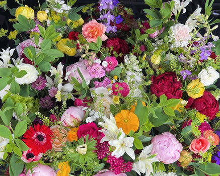 Local Flowers