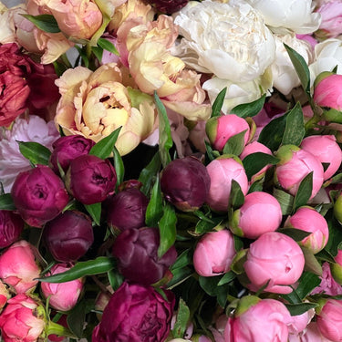 Garden & Flower Workshop - JUNE