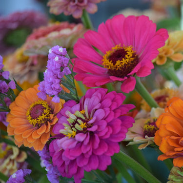 Garden & Flower Workshop - MAY