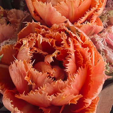 Garden & Flower Workshop - APRIL