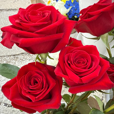 The Hero's Homecoming *ROSE PREORDER*