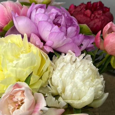 Garden & Flower Workshop - JUNE