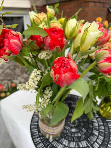 Tulip