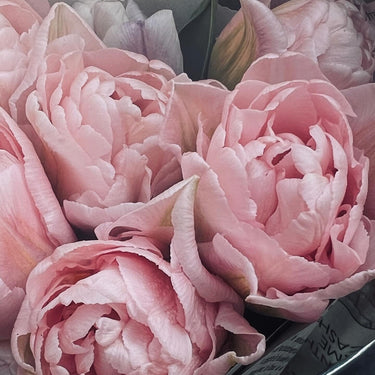 Garden & Flower Workshop - APRIL